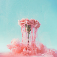 Pink carnation flower with pastel ink. Creative abstract spring nature. Summer bloom concept.