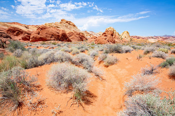 Valley of Fire State Park in Nevada, USA