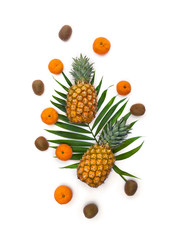 Fresh tropic fruits orange mandarines, green kiwi, pineapples on palm tree leaf on white background. Top view, flat lay