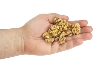 walnut in hand on white background