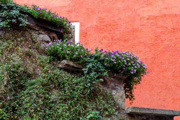 Fototapeta na wymiar The stone wall is decorated with live plants against the background of a red house.