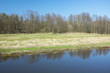 The shore of a calm river and meadow, forest and blue sky