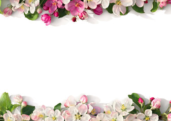 Plakat Frame of flowers apple tree on white background with space for text. Top view, flat lay