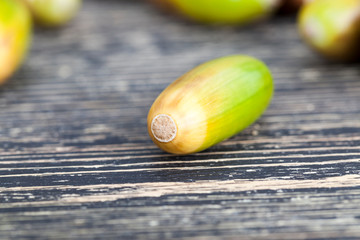 The acorns of different colors