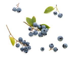 Fresh ripe blueberry berries and leaves isolated on white background. Top view.