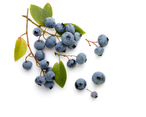 Fresh ripe blueberry berries and leaves isolated on white background. Top view.