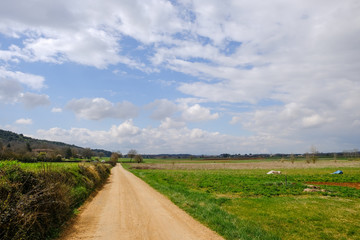 Fototapeta na wymiar Road in the countryside landscape in Tuscany, Italy.