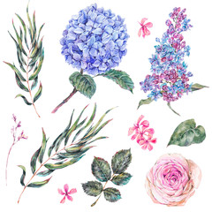 Watercolor vintage set floral elements, roses, lilac, blue hydrangea and wildflowers.