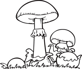 Mushroom hand drawn vector illustration. Isolated Sketch food drawing .  Organic vegetarian product