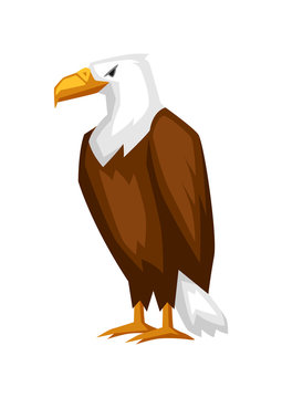 Bald Eagle Cartoon Illustration.