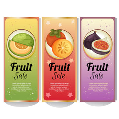 colorful fruit banner collection with melon fig