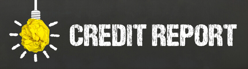 Credit Report 