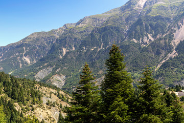 Fototapeta na wymiar Big firs in the mountains (region Tzoumerka, Greece, mountains Pindos).
