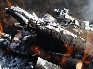 been partially burnt tree heater