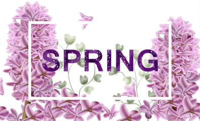 Lilac flowers spring banner Vector watercolor. Vintage composition bouquets
