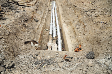 Breakthrough city hot water system and a cat. Repair, insulation and replacement pipes.