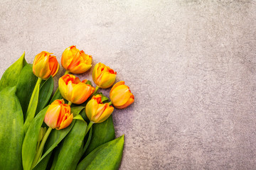 Spring romantic concept. Gentle tulip on stone background. Card, wallpaper, copy space, top view.