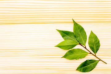 Fresh bay leaves on wooden background, top view, copy space, flat lay