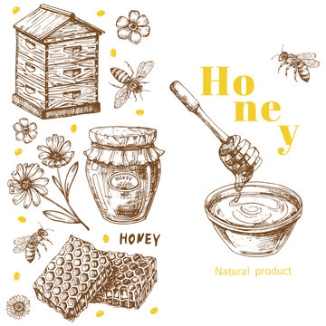 Retro vector honey background template with hand drawn elements. Illustration of honey bee vintage, health natural sweet
