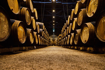 Old aged traditional wooden barrels with wine in a vault lined up in cool and dark cellar in Italy,...