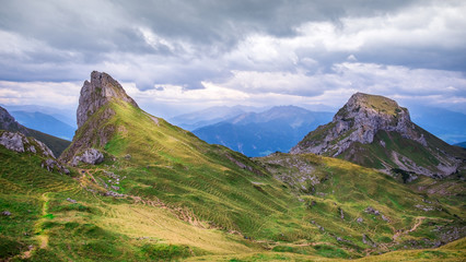 Fototapeta premium Finn of Austria