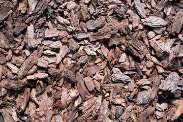 Texture of tree bark pieces