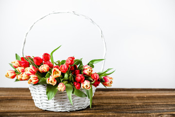 Spring tulip. Mother's day flowers gift in a basket.