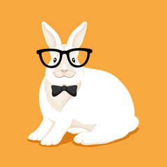Stylish white rabbit with glasses on an orange background.
