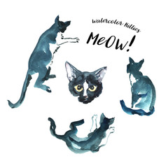 Watercolor cats poses set. Hand drawn illustration isolated on white bckground. Black and white cat head. Rare view of sitting, playing, sleeping young cats.