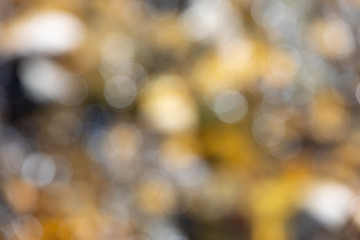 Natural light bokeh background