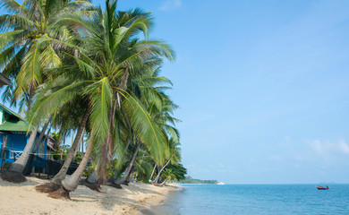 Tropical morning sand beach with coconut palm trees and clear blue sky. Thailand, Samui island, Maenam.