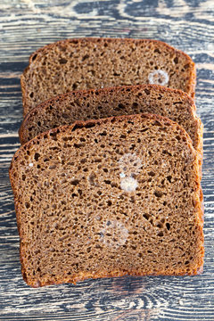 Rye Black Bread With Mold