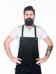 Bearded hipster wear apron. Man cook brutal hipster. Fast food restaurant. Serious bearded cook. Restaurant staff. Hipster professional barista apron uniform. Waiter or bartender. Ready serve drink
