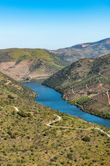 Fototapeta na wymiar River Douro next to the mouth of the river Coa
