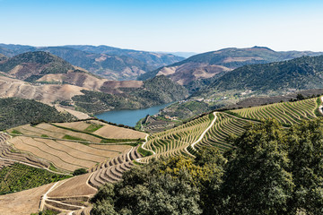 Viewpoint of Vargelas surrounding landscape