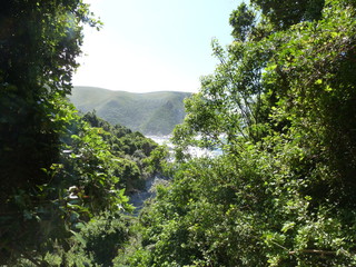 Obraz premium Tsitsikamma Nationalpark