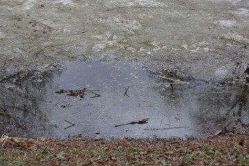 Frozen water surface near the shore of the lake in early spring