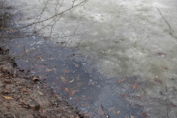 Frozen water surface near the shore of the lake in early spring