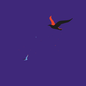 Birds in the sky are like ships in the night 