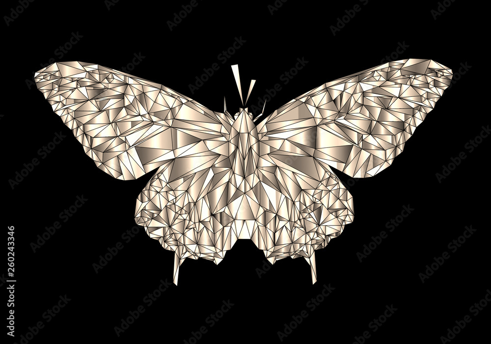 Canvas Prints abstract artistic polygonal butterfly shape in black background