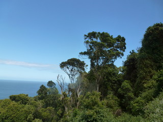 Tsitsikamma Nationalpark