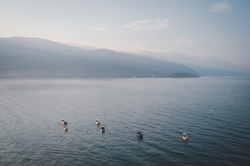 Fishing boats in the lake Ohrid