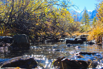 Autumn stream in the mountains