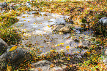 Autumn frozen stream