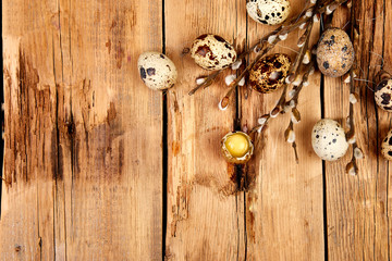 Quail eggs in the nest on wooden background with willow branch.