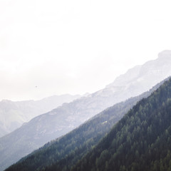 Naklejka premium Misty Morning