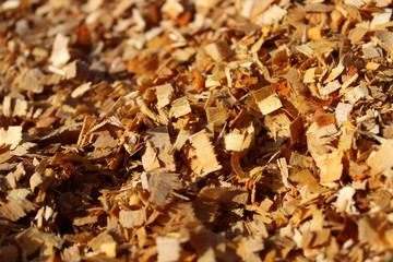 Background with saw dust