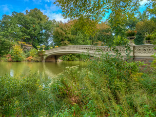 Fototapeta premium Bow bridge,Central Park, New York Cit