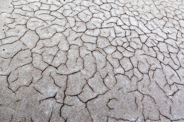 Gray dry soil or cracked ground texture background. Takyr