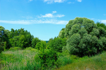 Beautiful Landscape Background.  Green Trees, Meadow Over Blue Sky Background. Landscape Photo - Green Field, Clouds And Blue Sky. Nature, Ecology, Travel Concept.